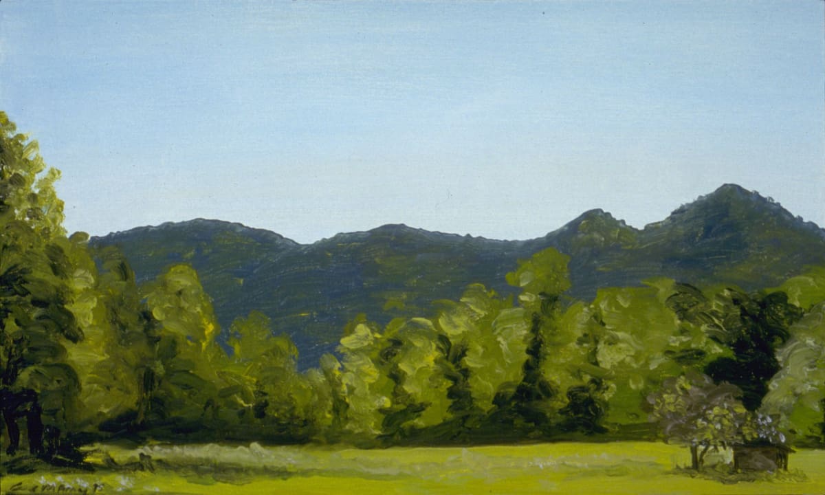 Field at Sunset, Rabun Gap, Georgia by Anne M Bray 