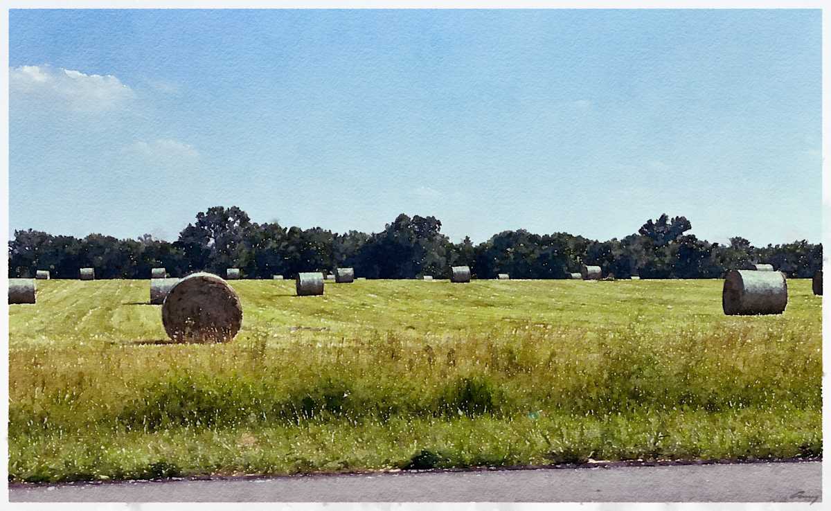 Hay Bales, Missouri by Anne M Bray 