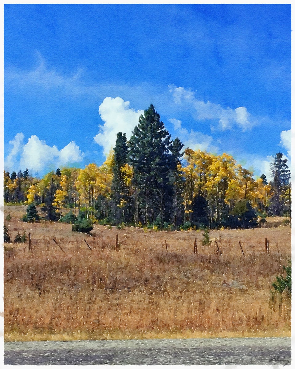 Roadside Colors, New Mexico by Anne M Bray 