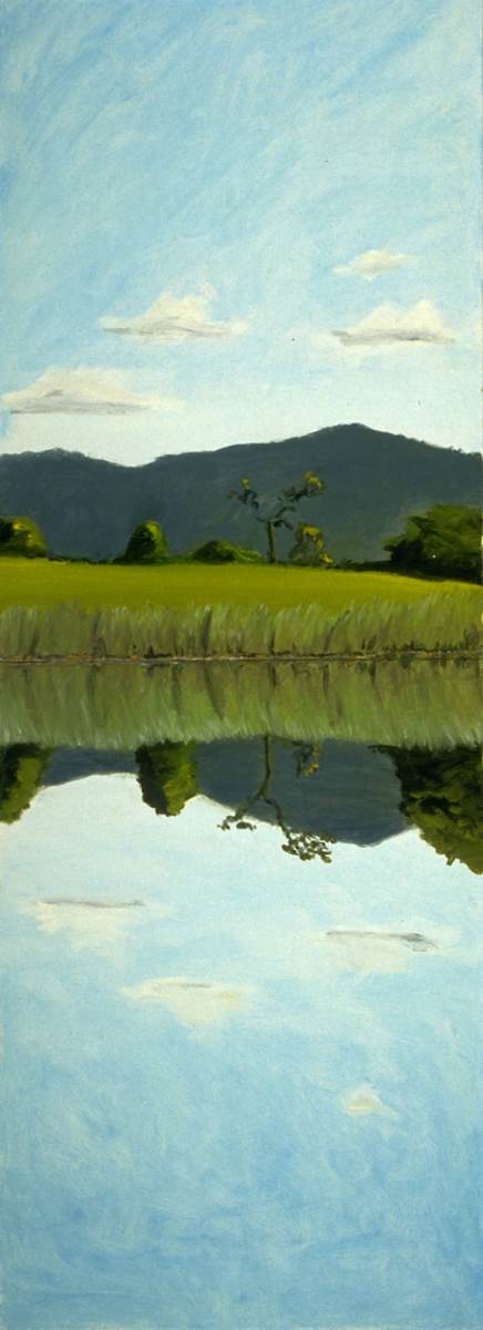 Bennington Reflection by Anne M Bray, Image 8.