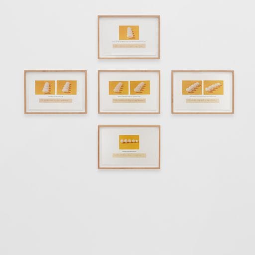 “Which Came First?” Enlightenment #4 by Celia Álvarez Muñoz  Image: Celia Álvarez Muñoz, “Which Came First?” Enlightenment #4, 1982. Framed C-prints, and letterpress on paper. Museum purchase, Elizabeth W. Russell Foundation Fund and gift of the artist,1991.5.1-7. Photography: Daniel Lang