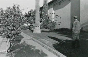 Untitled (man with birds) by Henry Wessel Jr. 