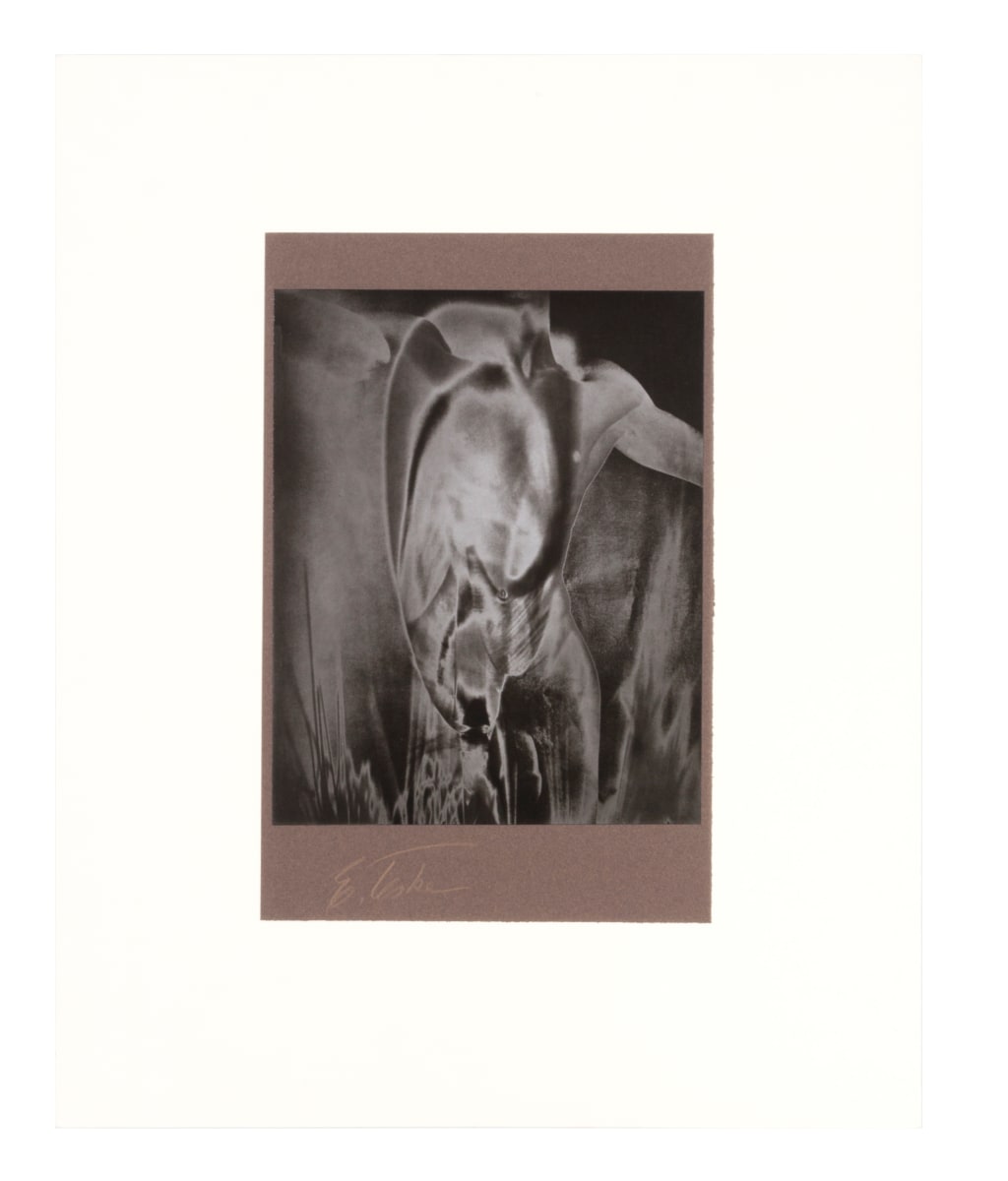 Untitled (Figure in Brown) by Edmund Teske 