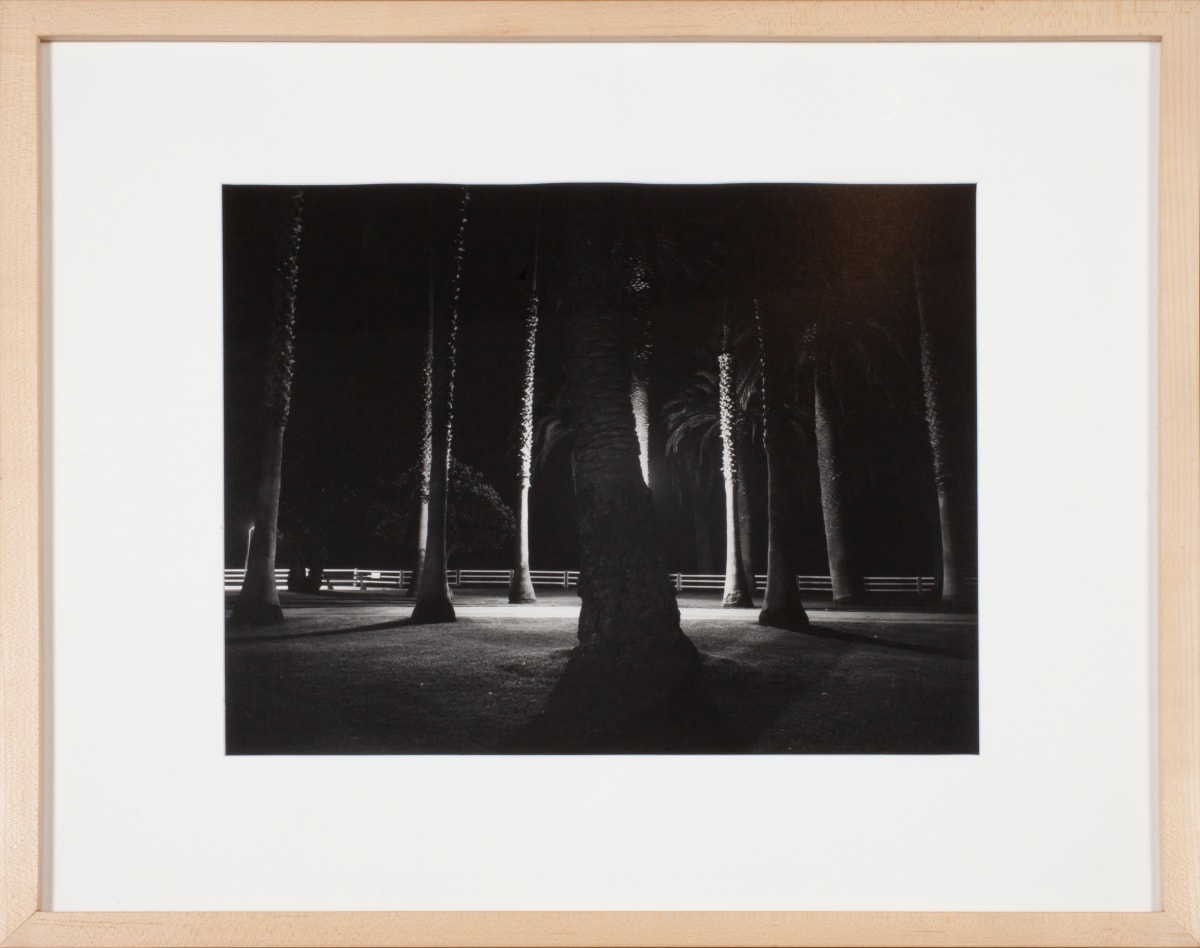 Palisades Park, Santa Monica, 1975 by Robert Von Sternberg 