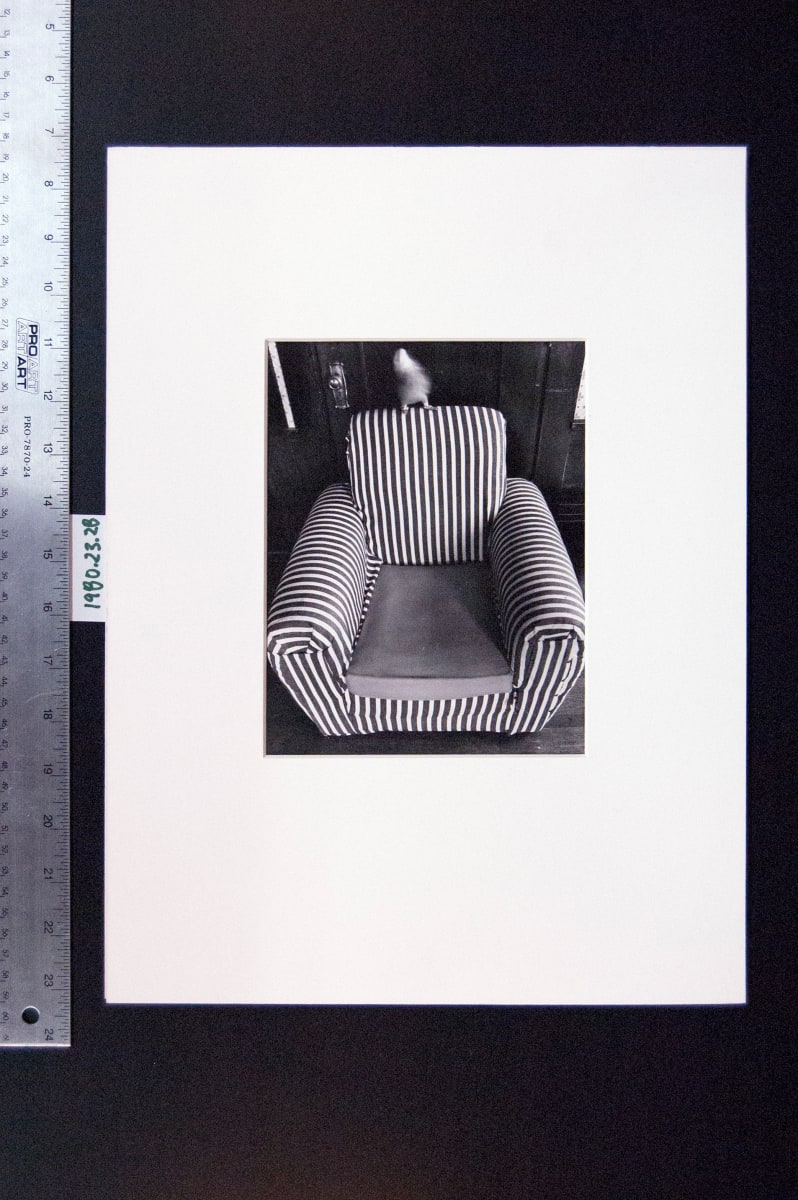 Untitled 1971 (Armchair with Parrot) by Leland Rice 