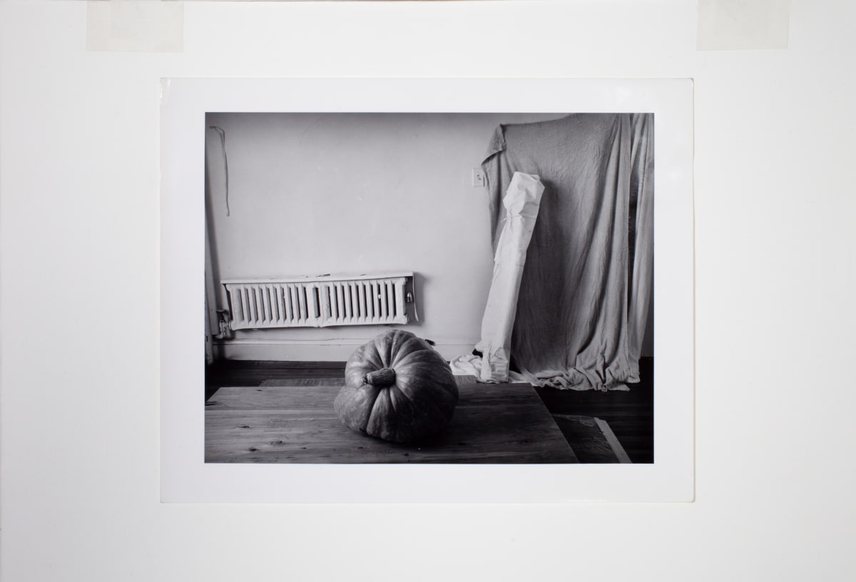 Wall Site by Leland Rice 