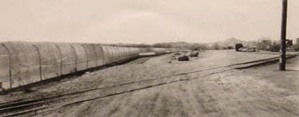 Tortilla Cutter by Pancho 