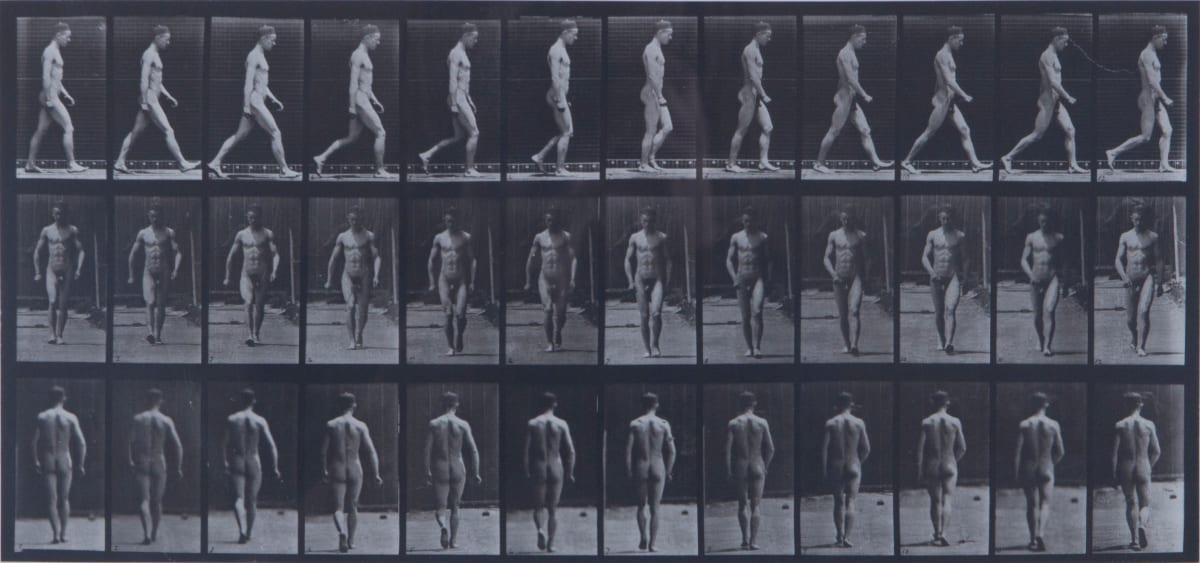 Animal Locomotion Plate 1 by Eadweard Muybridge 