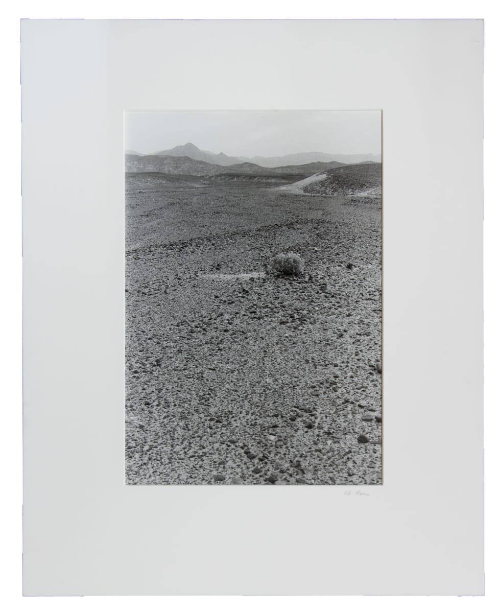 Untitled (#125, Death Valley, CA) by Edward J. Ross II 