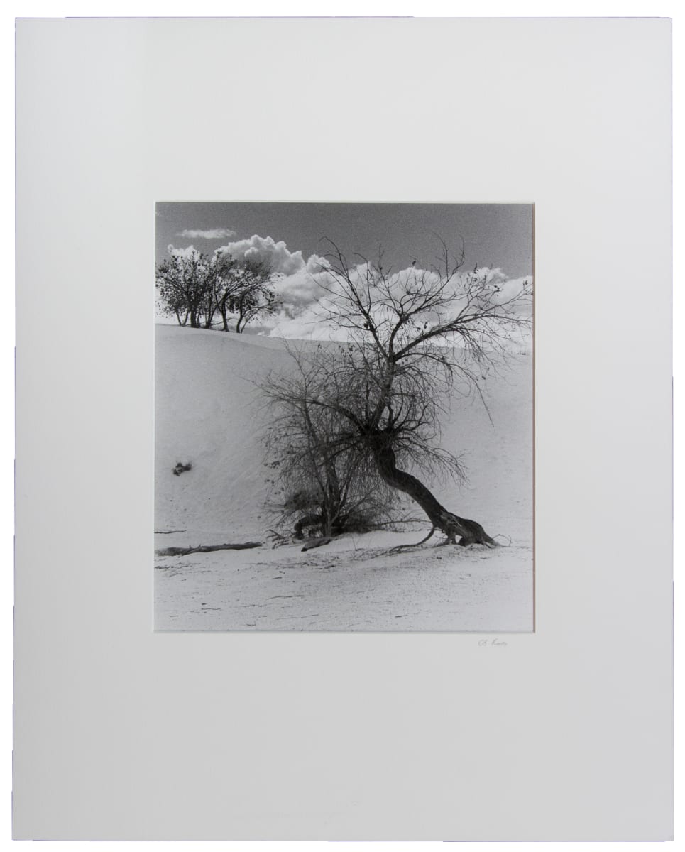 Untitled (#170 White Sands, NM) by Edward J. Ross II 