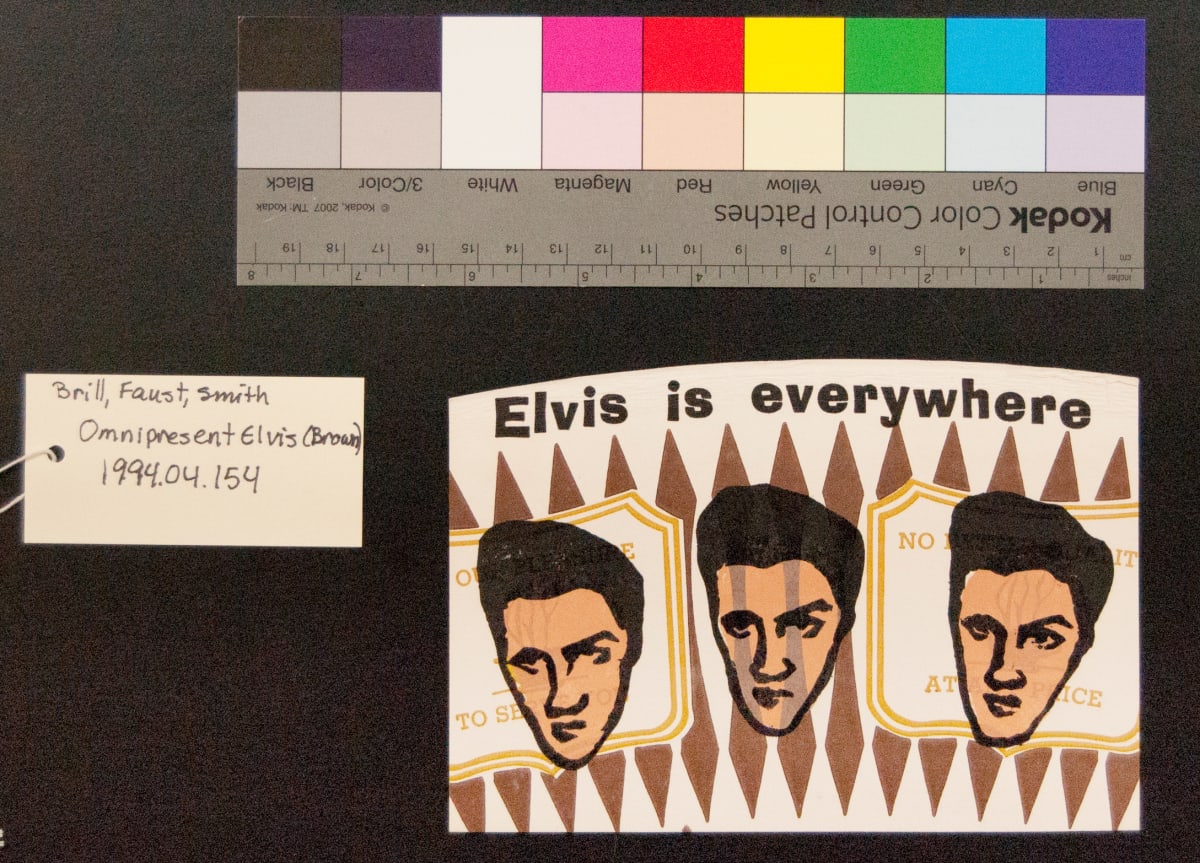 Omnipresent Elvis (Brown) by Esther K Smith Dikko Faust 