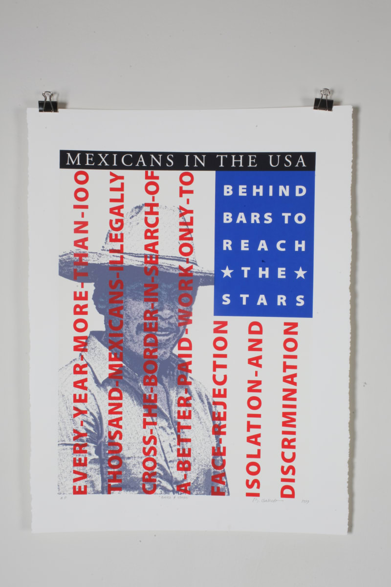 Stars and Bars by Rene Galindo 