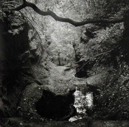 Canyon Gorham, Quadrangle by Gary Kolb 