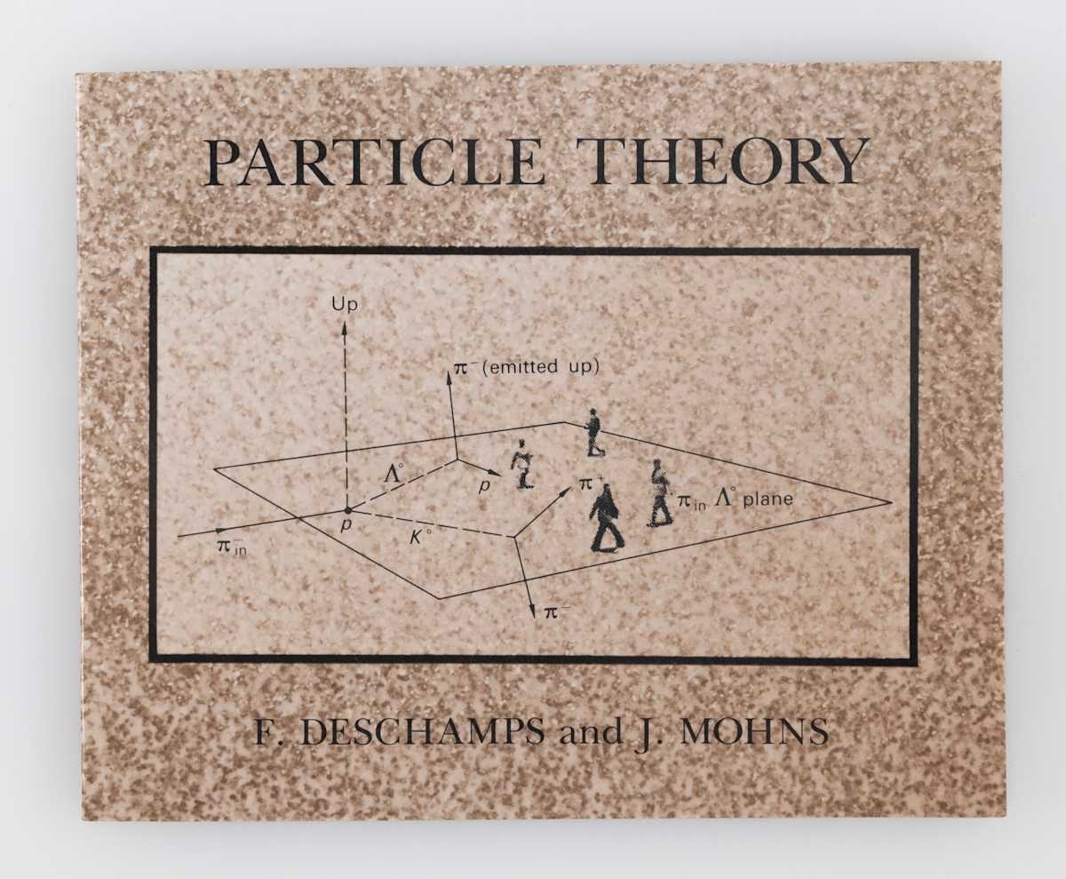 Particle Theory by Francois Deschamps Judith Mohns 