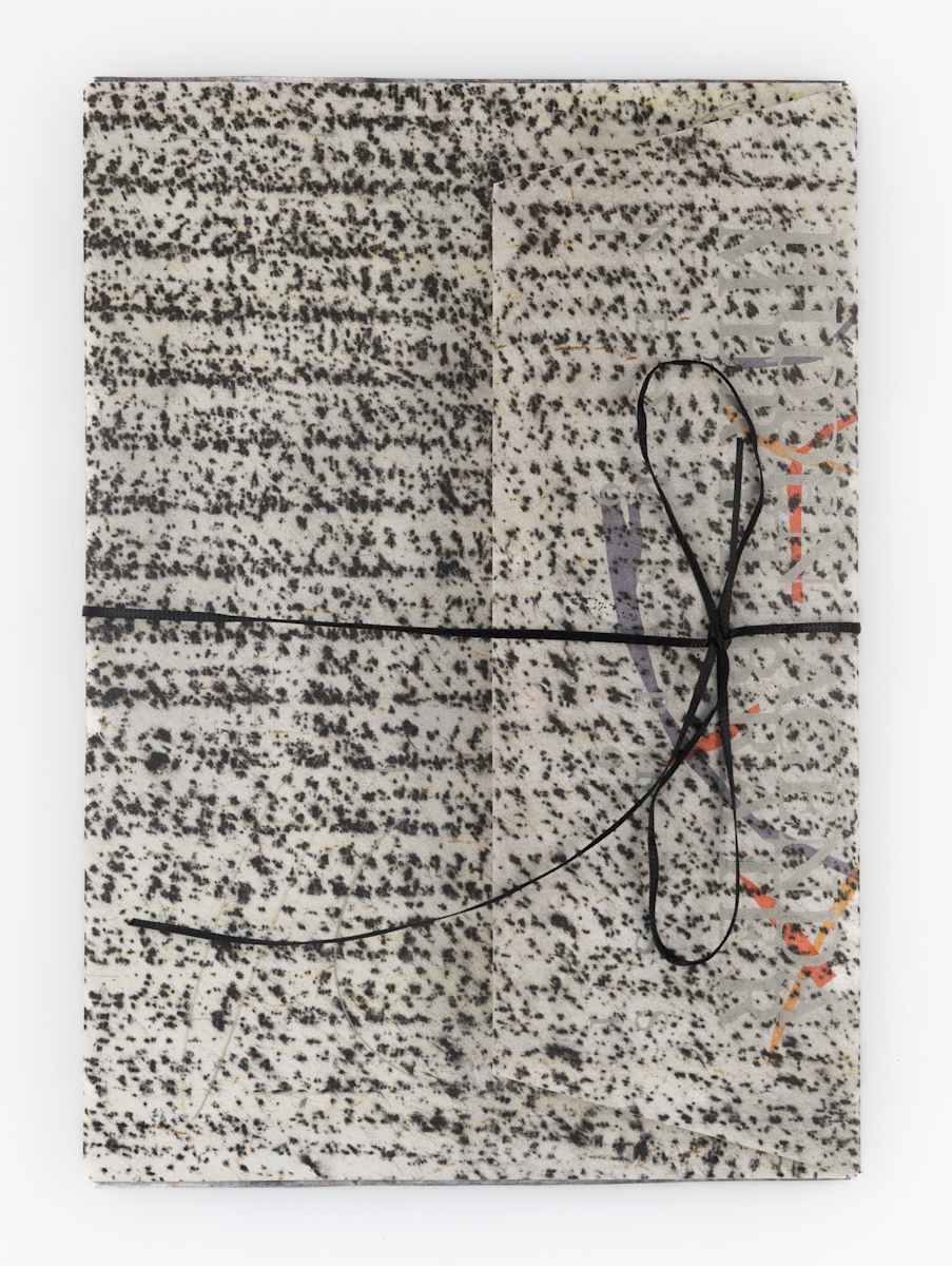 Hidden Agenda by Meryl Brater 