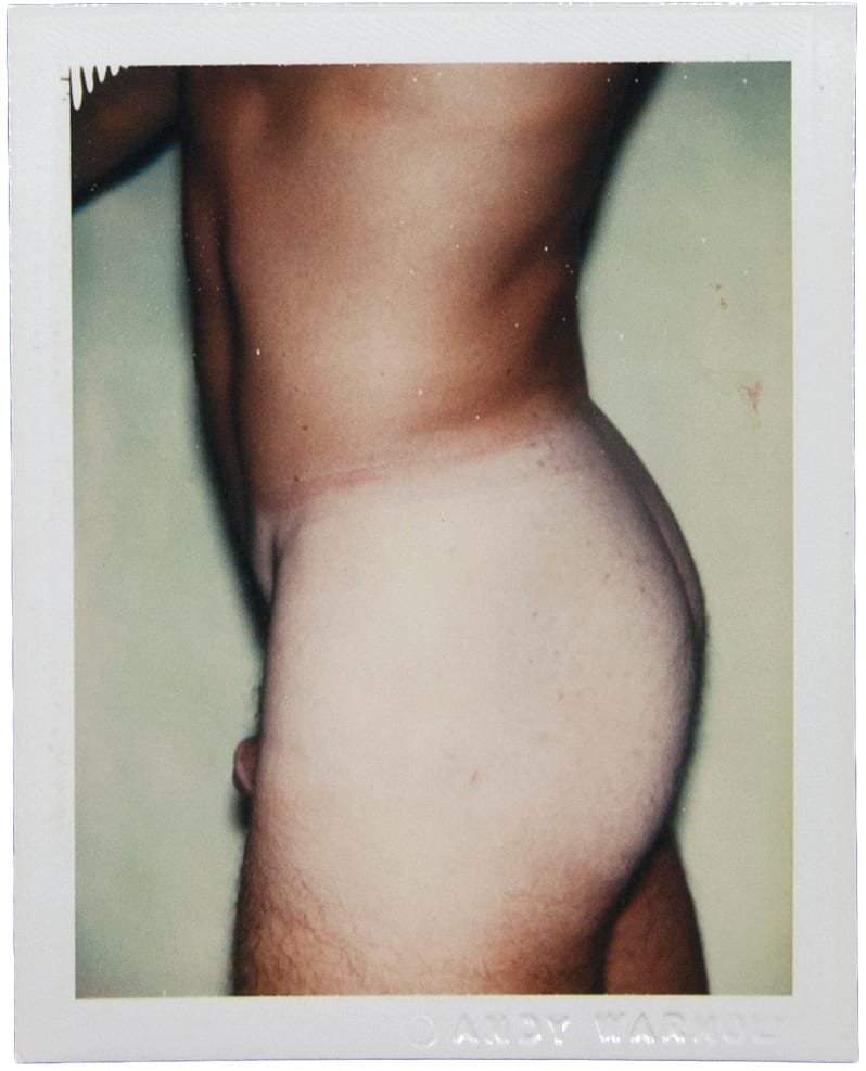 Nude Model (Male) by Andy Warhol 