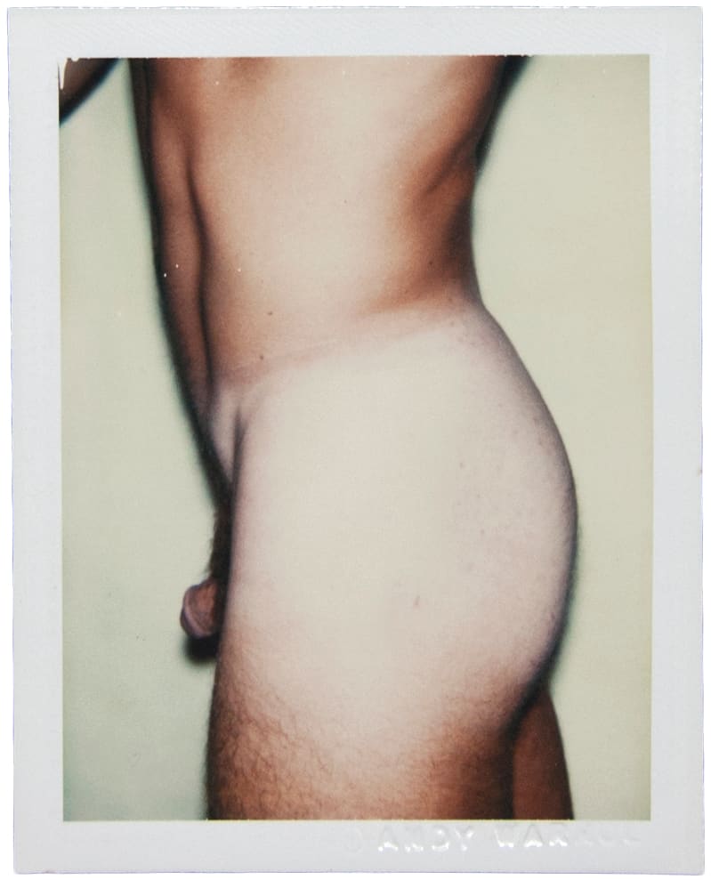 Nude Model (Male) by Andy Warhol 