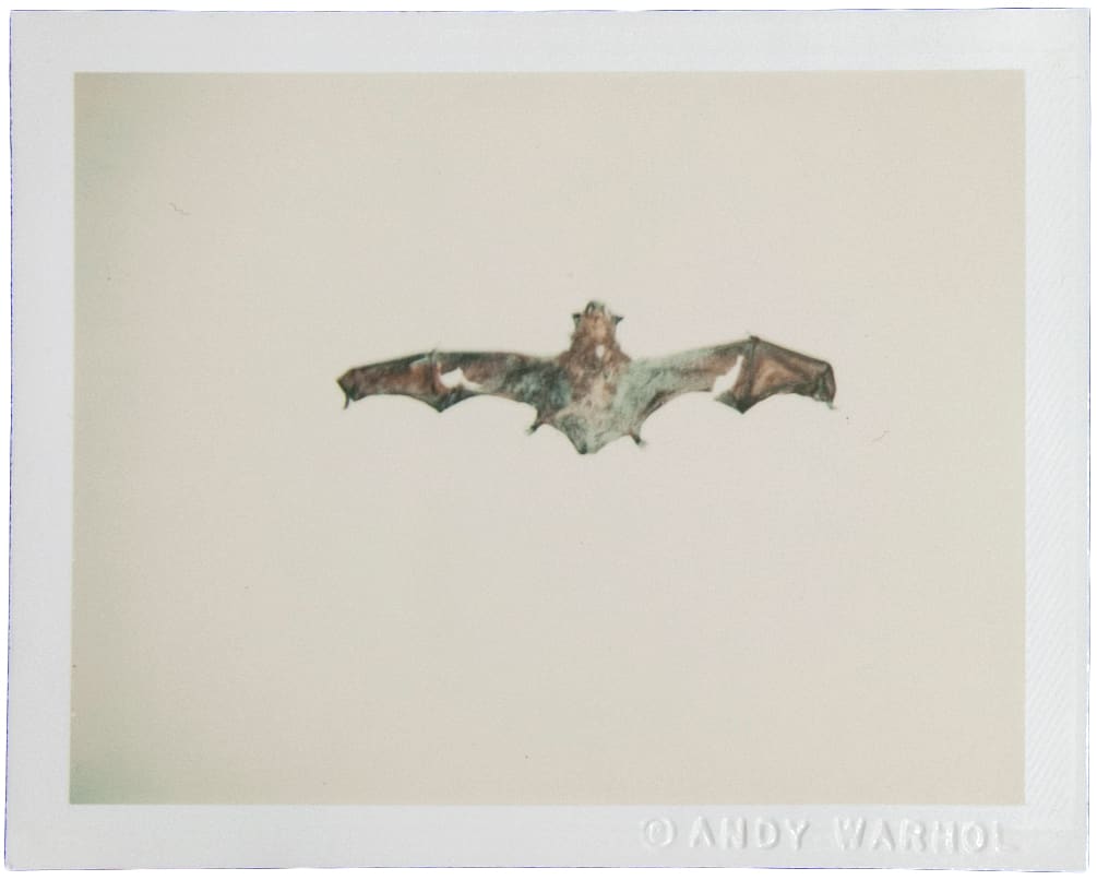 Bat by Andy Warhol 