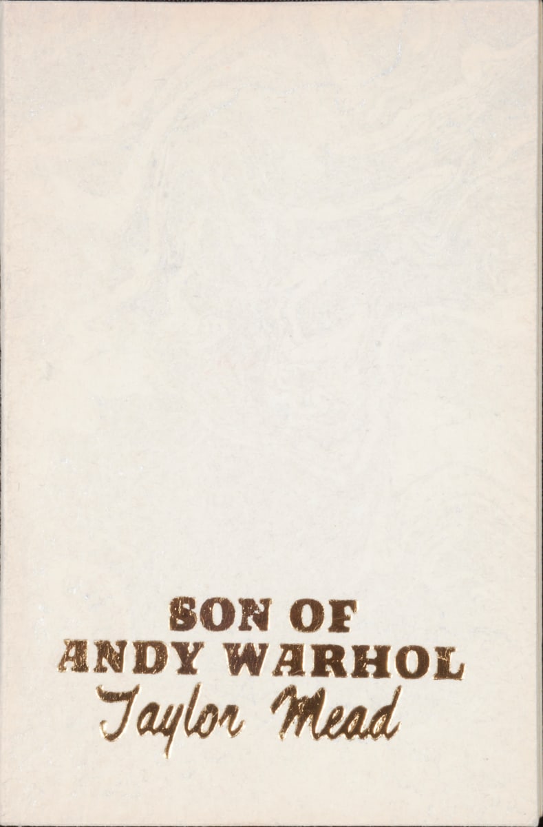 Untitled (Wall Shelf- "Son of Andy Warhol" by Taylor Mead) by Stella Waitzkin 