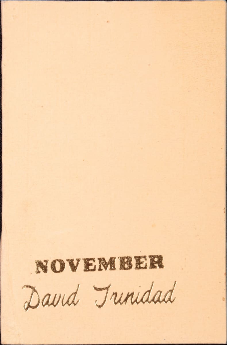 Untitled (Wall Shelf- "November" by David Trinidad) by Stella Waitzkin 