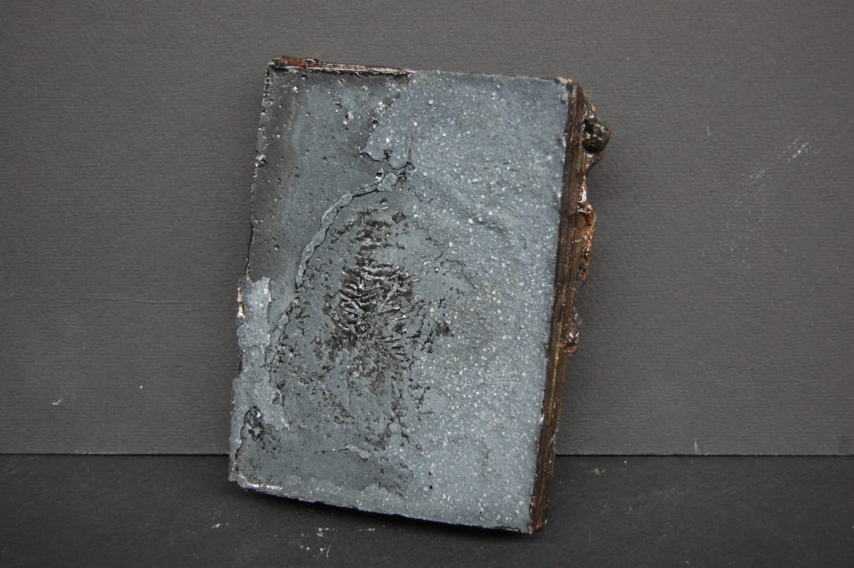 Untitled (Wall Shelf) by Stella Waitzkin 