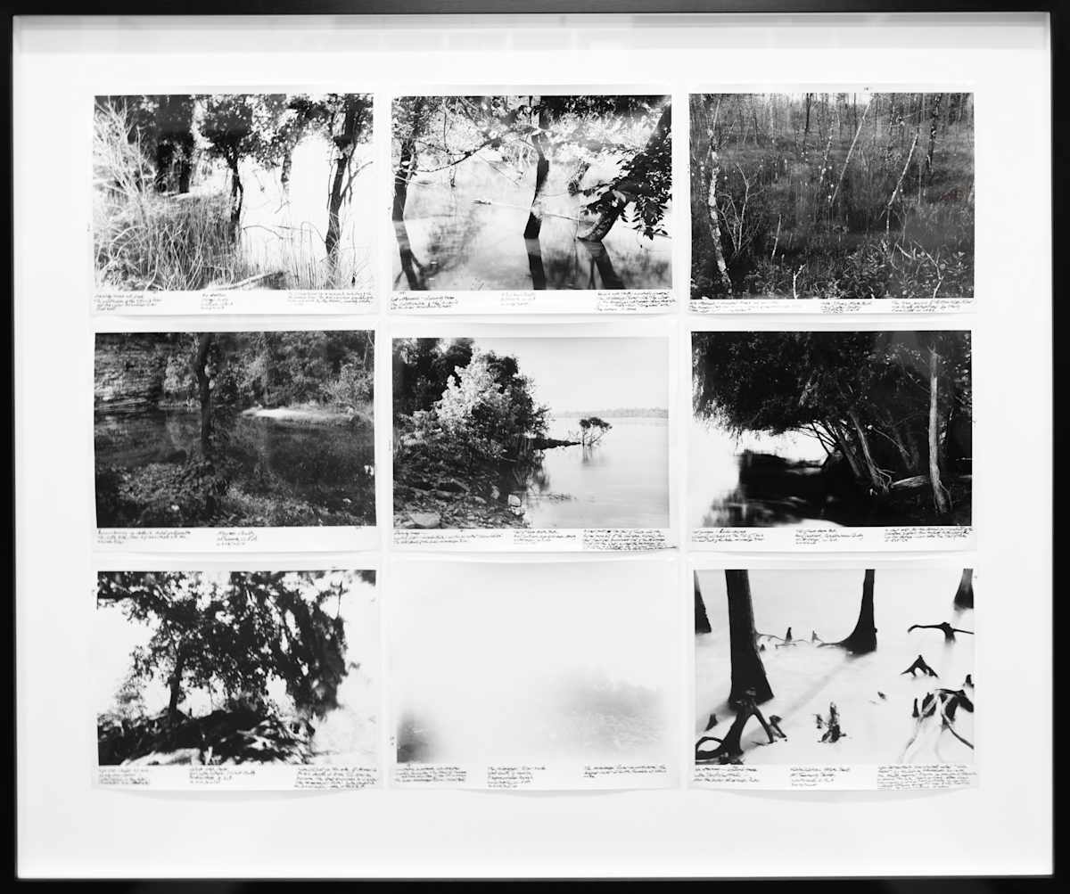Proofs with Notes for the Series: Drowned Trees Along the Mississippi From Source to Sea Continuing Observations on an American History of Place by Thomas Joshua Cooper 