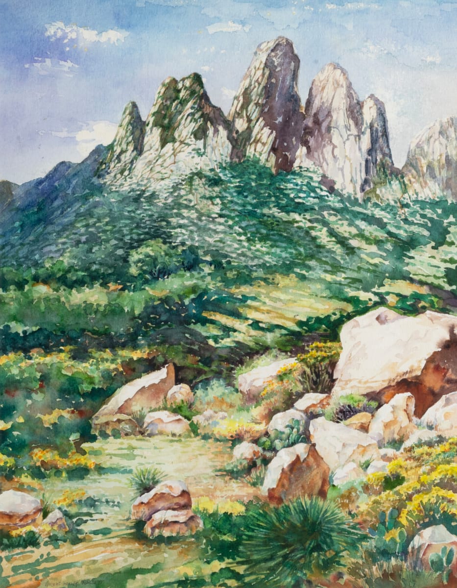 Organ Mountains by Vincent Harley Hallett 