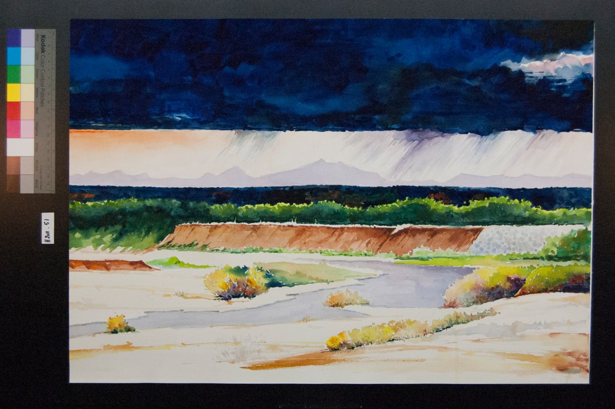 After the Storm (Roadrunner Parkway, LCNM) by Vincent Harley Hallett 