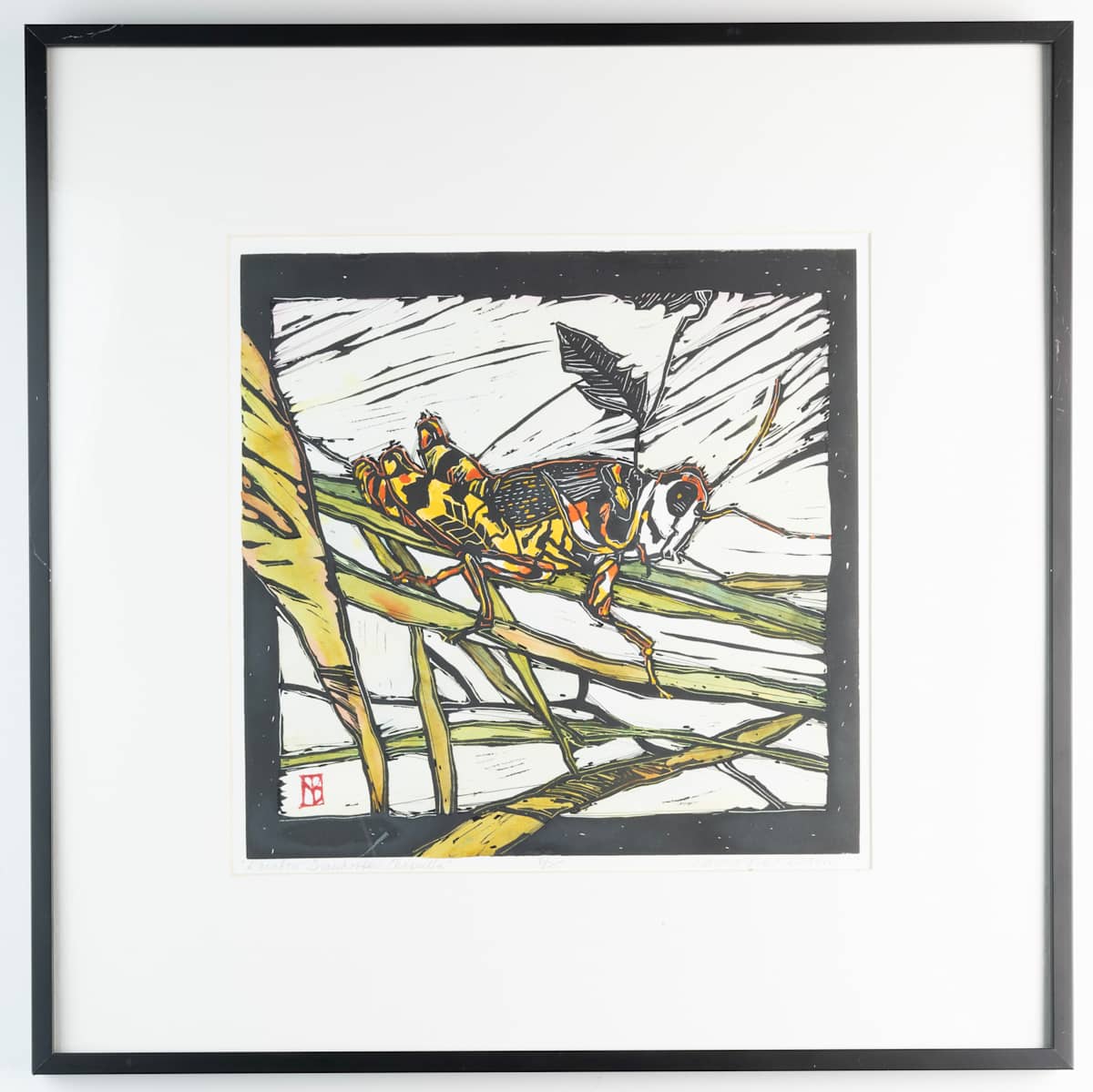 Rainbow Grasshopper by Nancy Frost Begin 