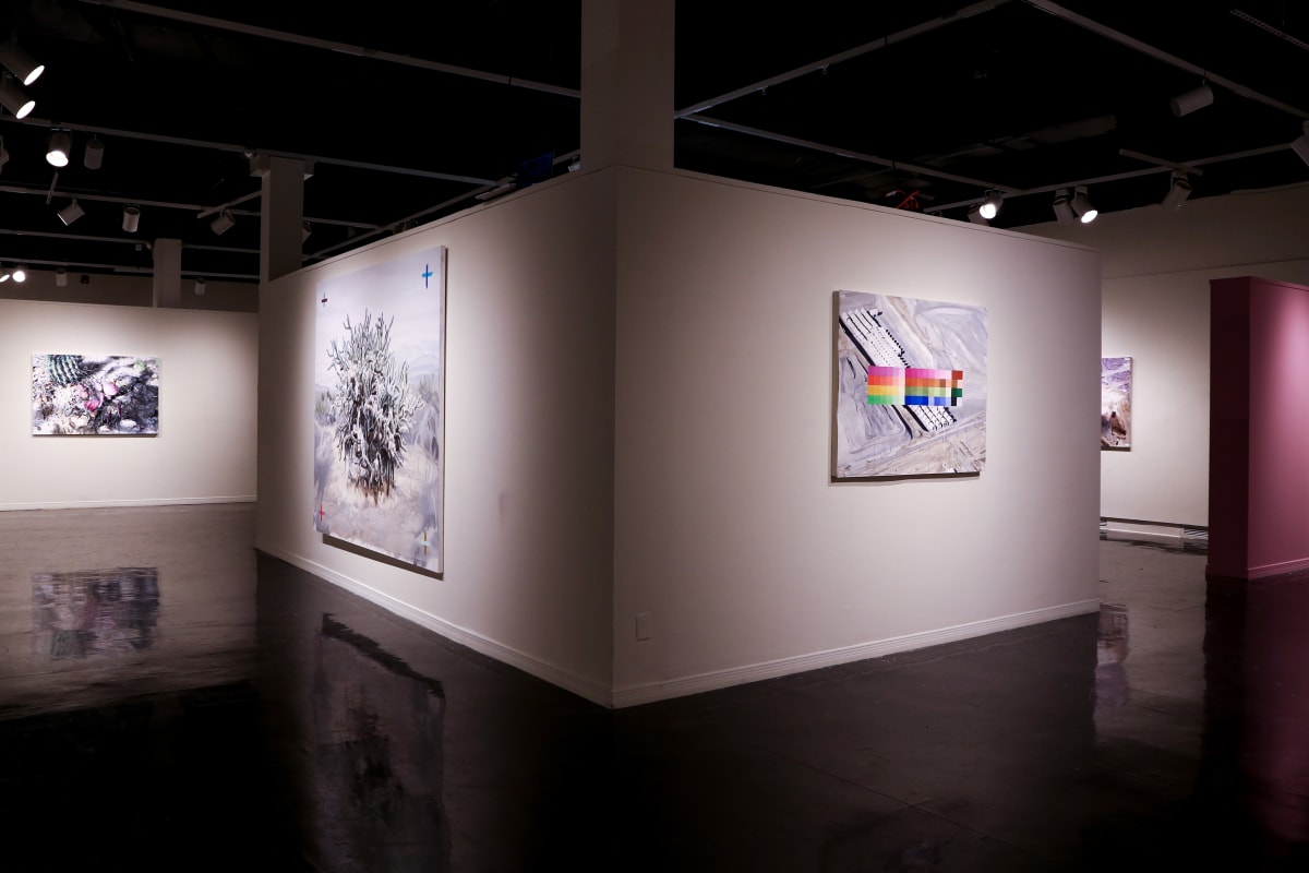 Installation View of Superbloom Gallery 01 by Eric LoPresti 