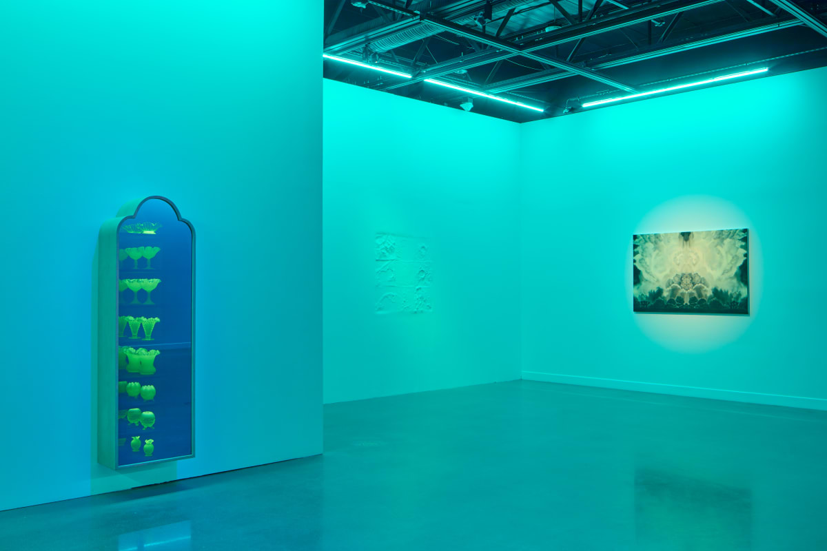 5 Installation View: Cara Despain: Specter New Mexico by Cara Despain 