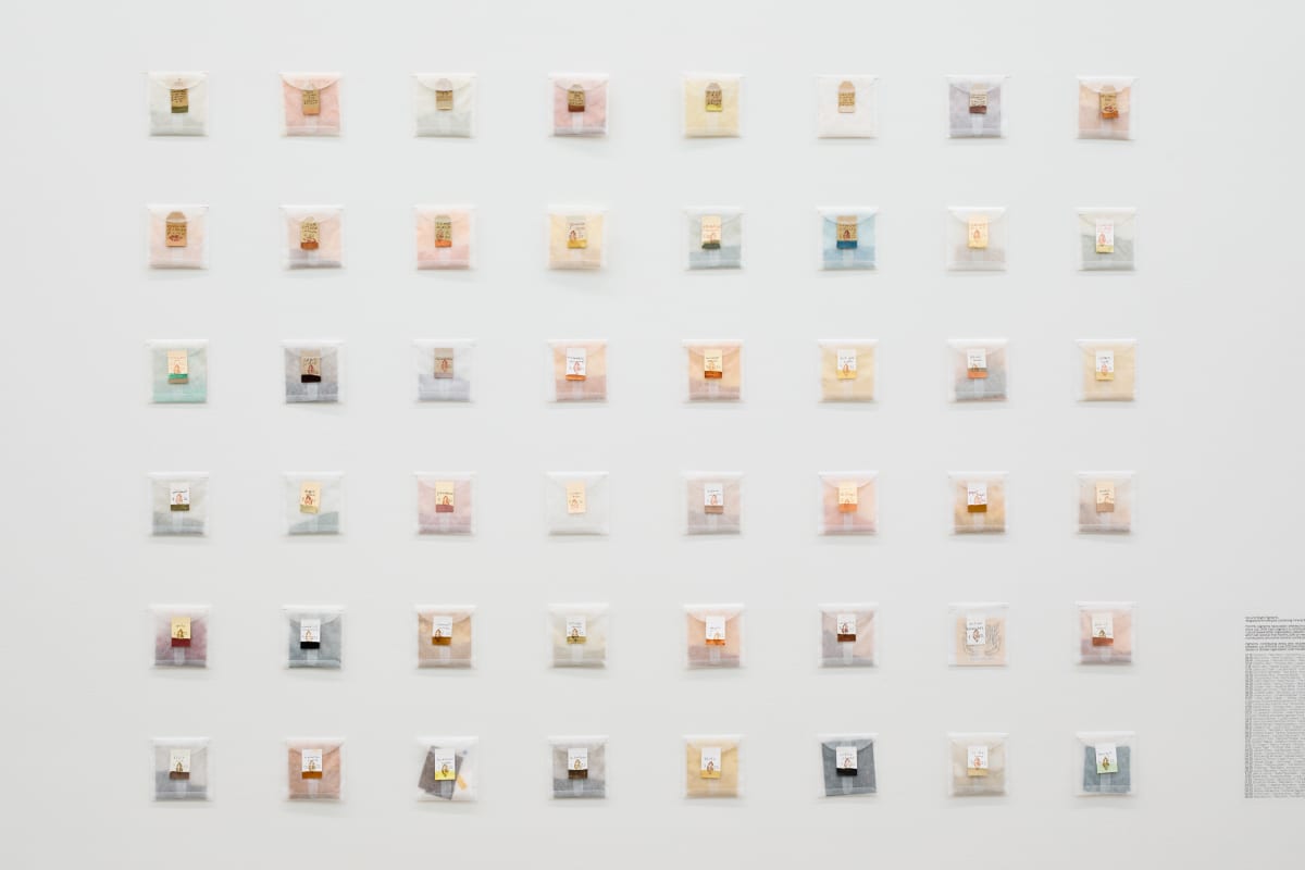 06 Installation view Wild Pigment Project, Image by Byron Flesher. 