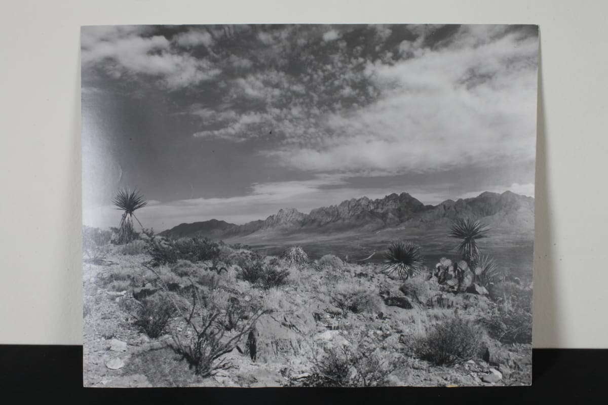 Organ Mountains by Unknown 