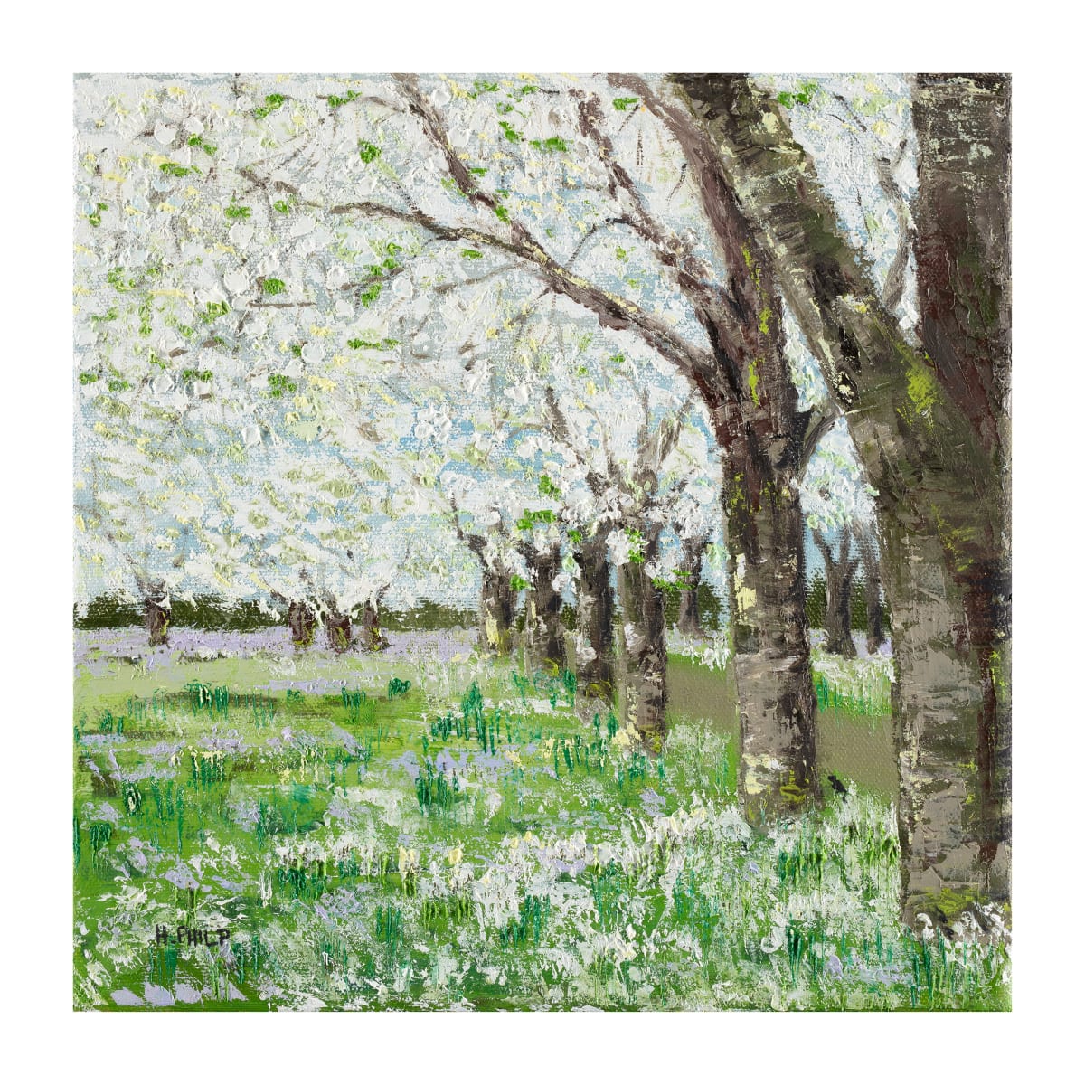 Spring by Heather Philp 