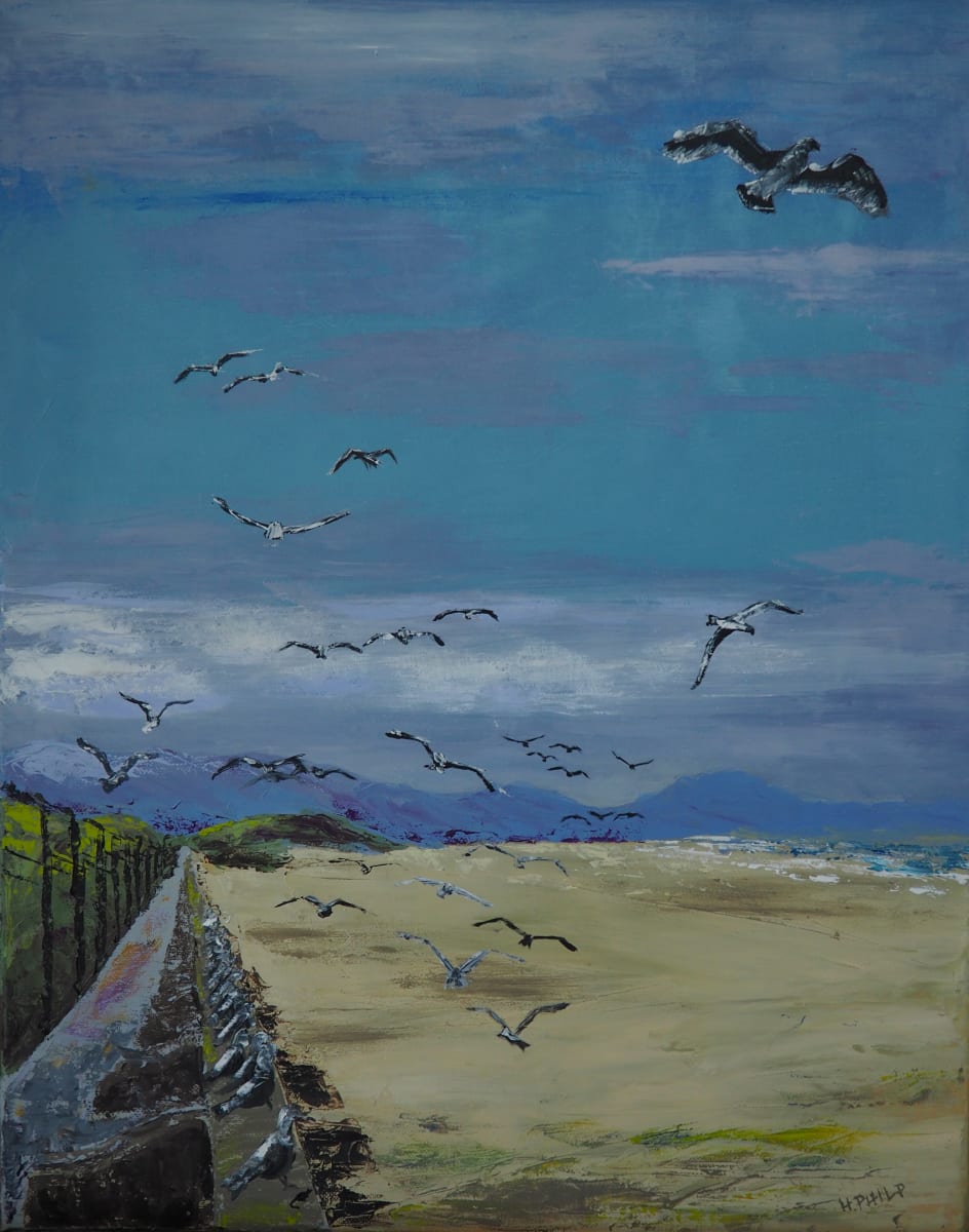 Escape From Ocean Beach 