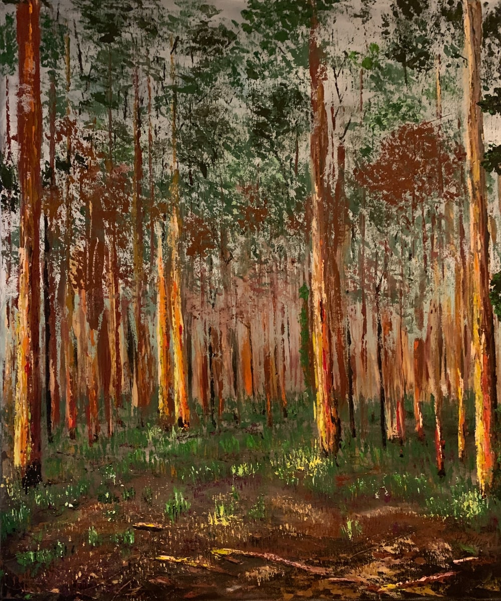 Boranup Karri by Heather Philp 