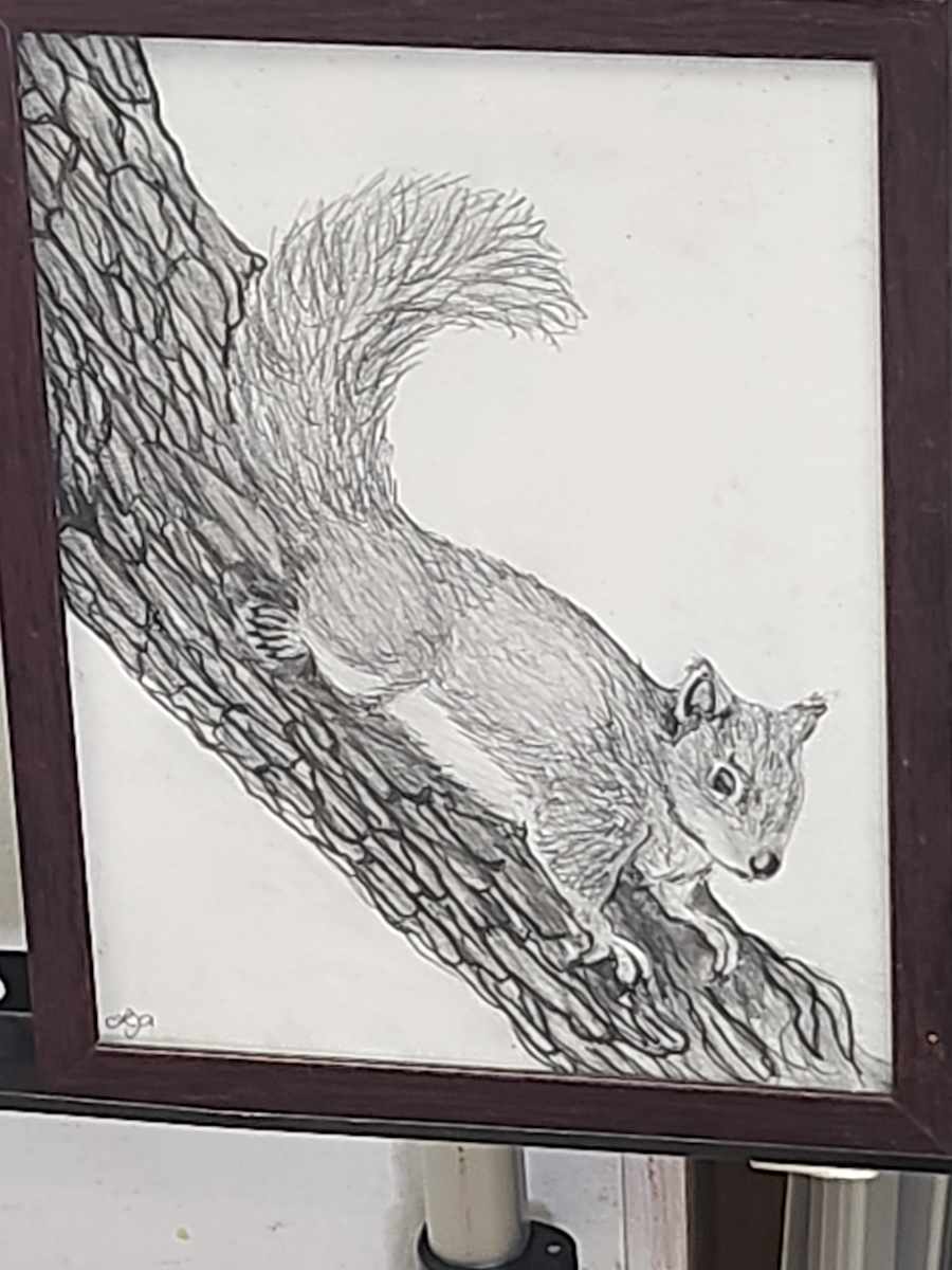 Squirrel by Larry Alexis the junkart dog, Image 2.