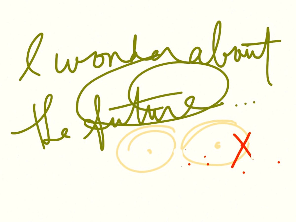 I Wonder About the Future 