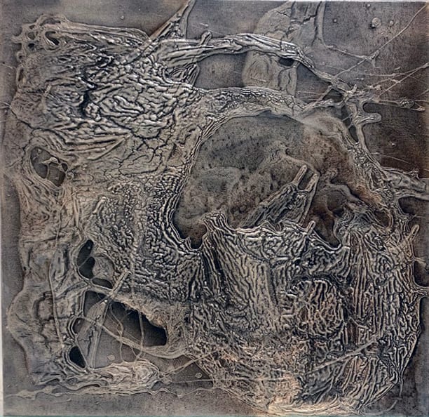 An Organism is a World.1 by Kathy Skerritt 