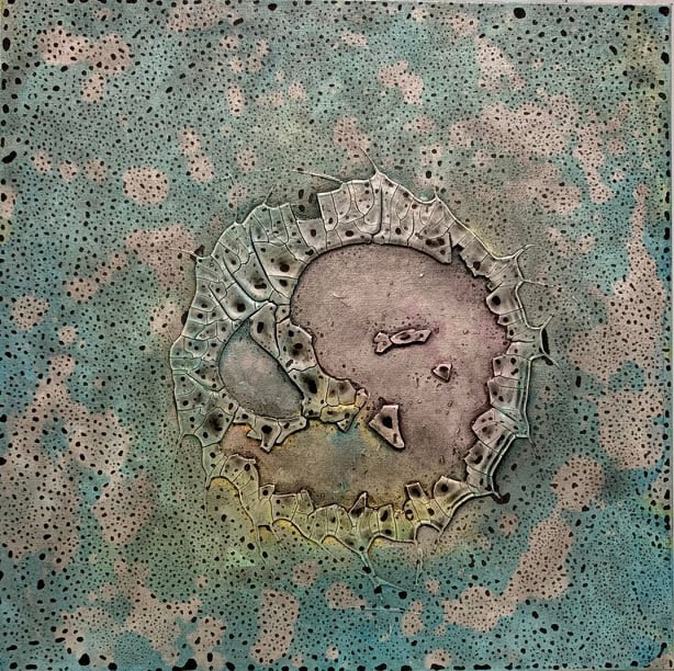 Protoplasmic Display 1 by Kathy Skerritt, Image 1.