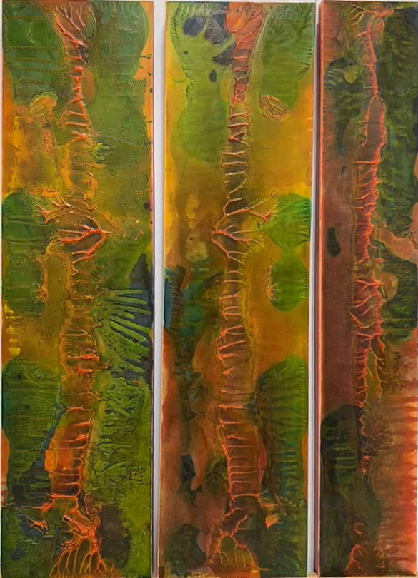 Spinal Topography" Series I - three pieces $500 /per $200 by Kathy Skerritt 