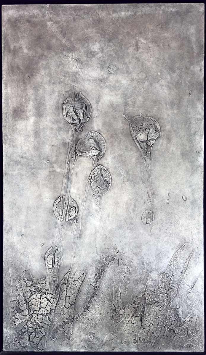 Untitled (Evolution series a) by Kathy Skerritt, Image 1.