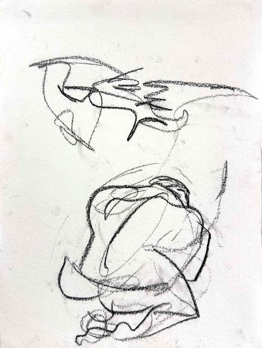 Untitled (contour drawing #3) by Kathy Skerritt, Image 1.