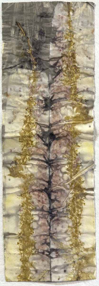 Untitled (dyed paper) by Kathy Skerritt, Image 1.