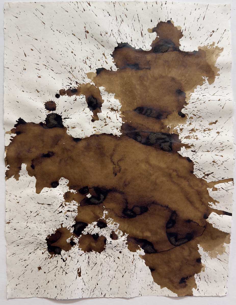 Untitled sepia 4 by Kathy Skerritt 