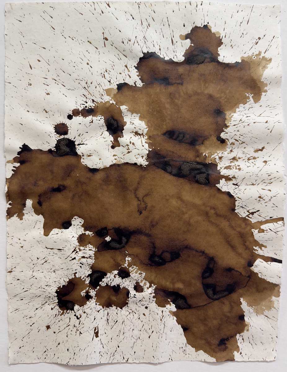 Untitled sepia 4 by Kathy Skerritt, Image 1.