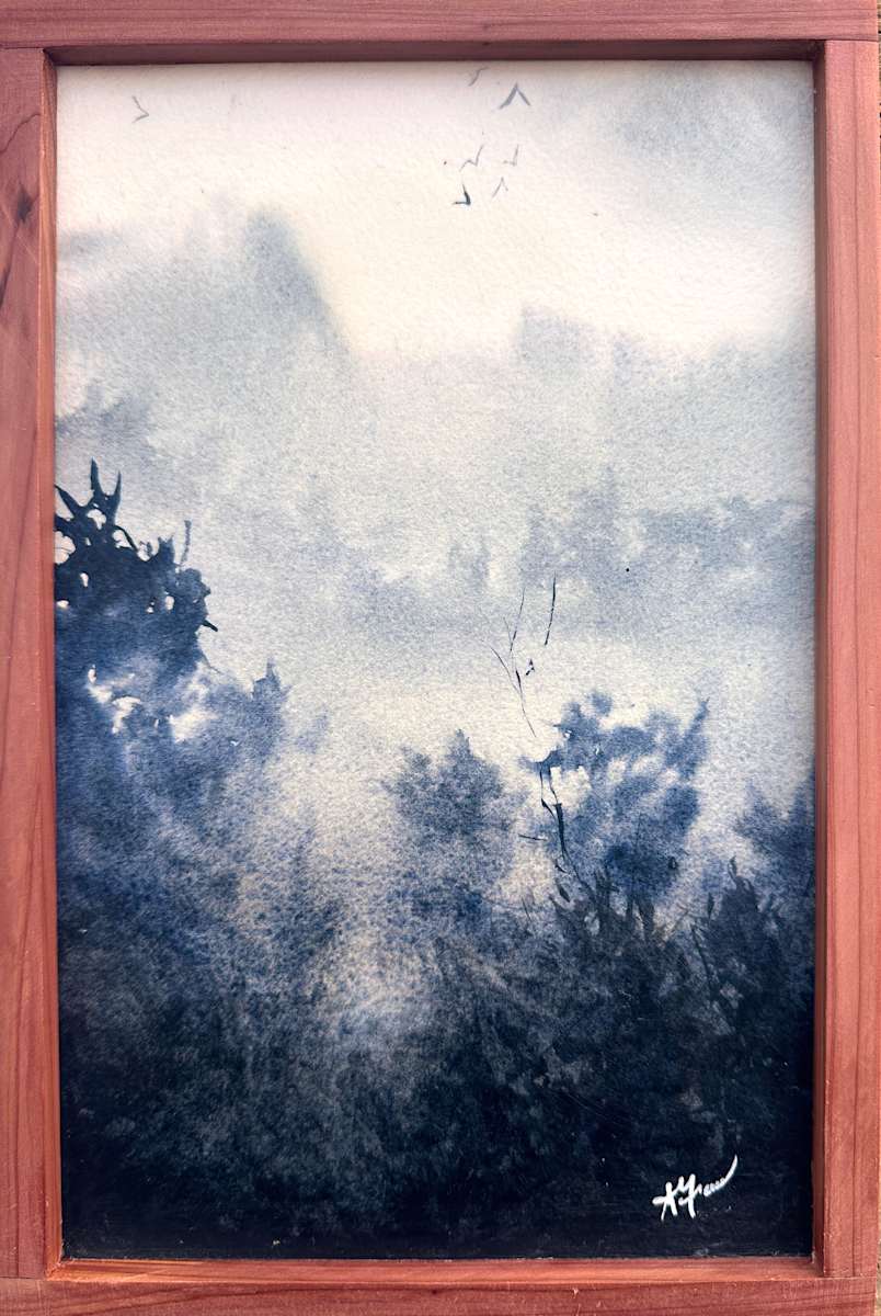 Indigo Dreams by Sarah Graves 