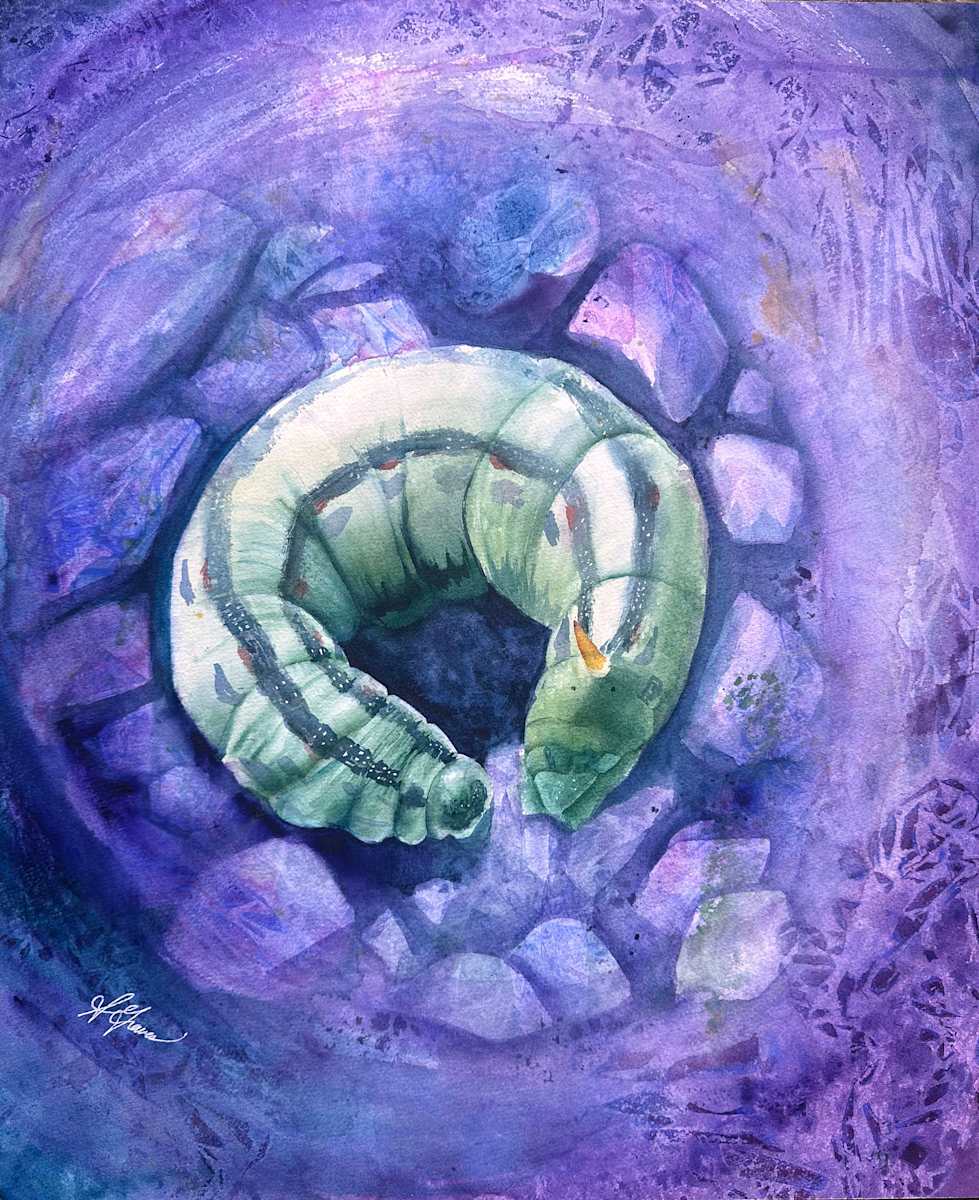Burrowing by Sarah Graves  Image: Mounted to birch panel with wax coat