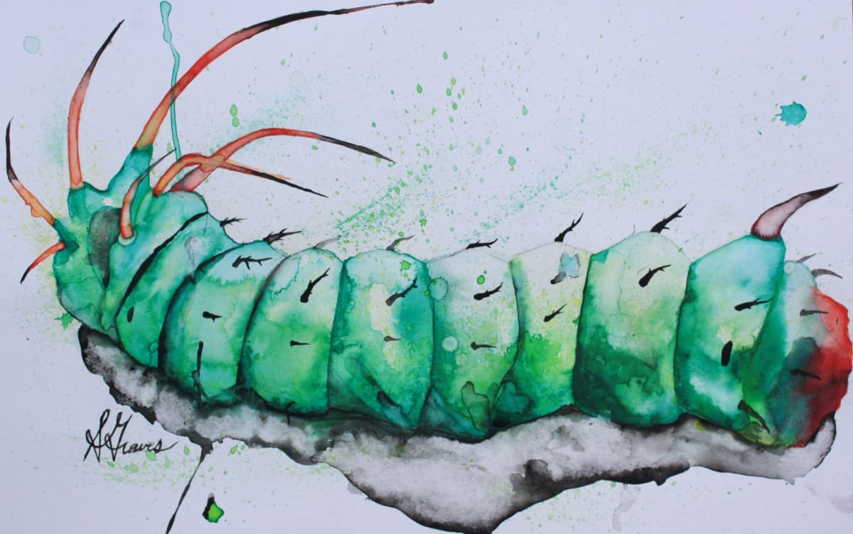 Hickory horned devil by Sarah Graves 