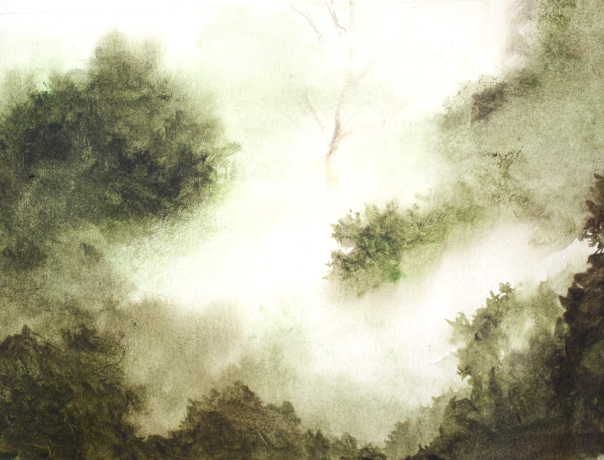 Tree tops by Sarah Graves 